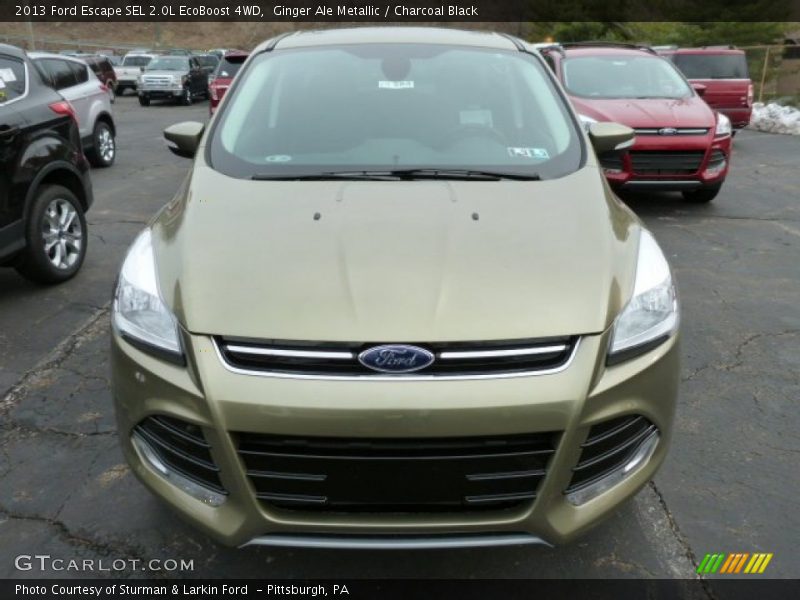 Ginger Ale Metallic / Charcoal Black 2013 Ford Escape SEL 2.0L EcoBoost 4WD