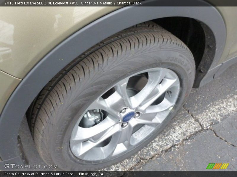 Ginger Ale Metallic / Charcoal Black 2013 Ford Escape SEL 2.0L EcoBoost 4WD