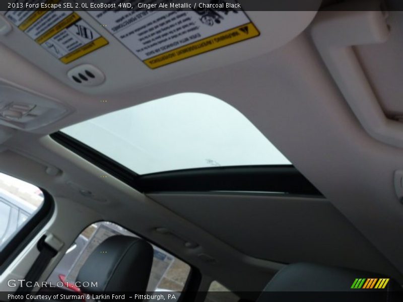 Ginger Ale Metallic / Charcoal Black 2013 Ford Escape SEL 2.0L EcoBoost 4WD