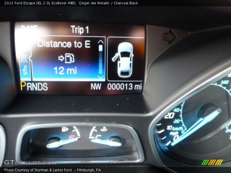 Ginger Ale Metallic / Charcoal Black 2013 Ford Escape SEL 2.0L EcoBoost 4WD