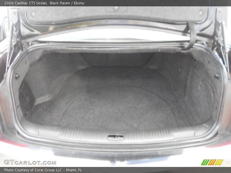 Black Raven / Ebony 2009 Cadillac CTS Sedan