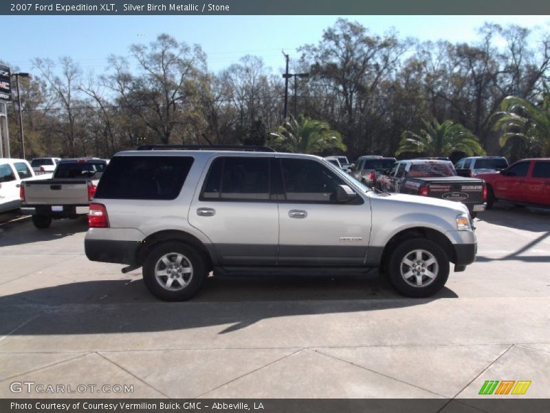 Silver Birch Metallic / Stone 2007 Ford Expedition XLT