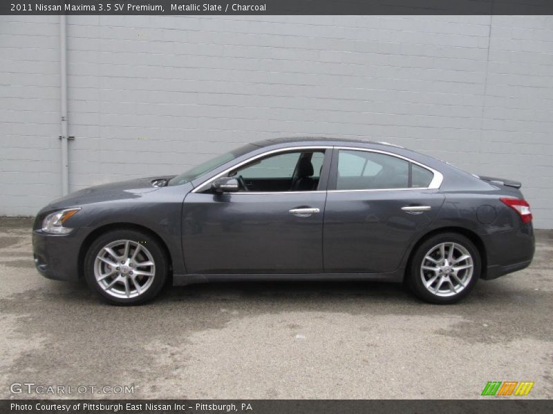 Metallic Slate / Charcoal 2011 Nissan Maxima 3.5 SV Premium