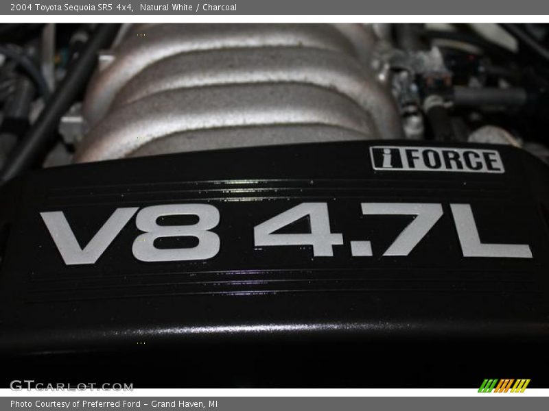 Natural White / Charcoal 2004 Toyota Sequoia SR5 4x4
