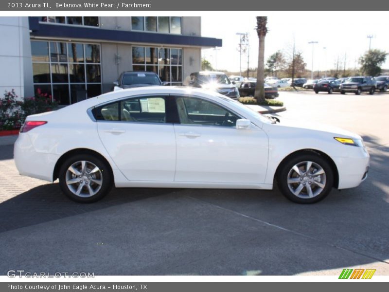 Bellanova White Pearl / Parchment 2013 Acura TL