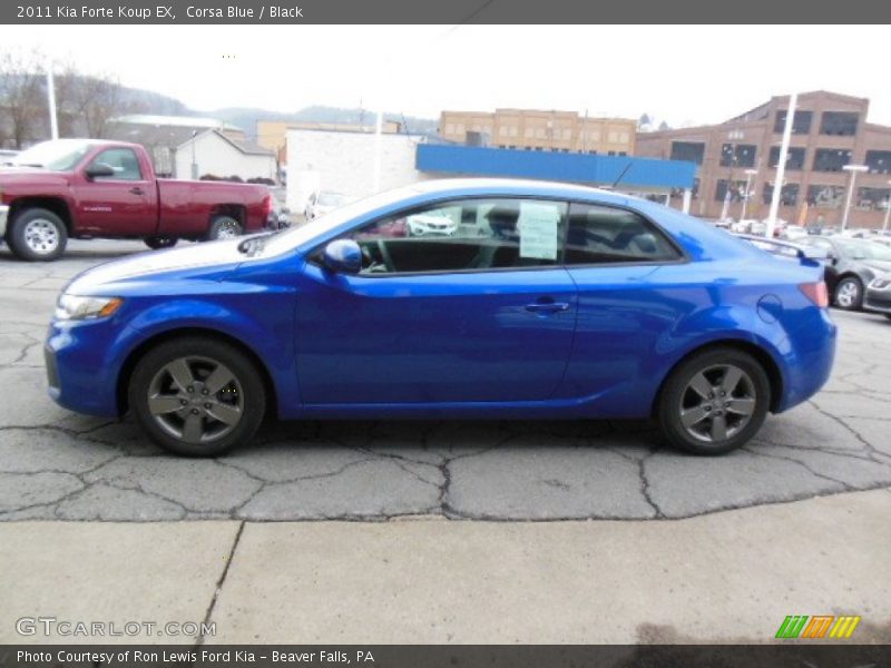 Corsa Blue / Black 2011 Kia Forte Koup EX