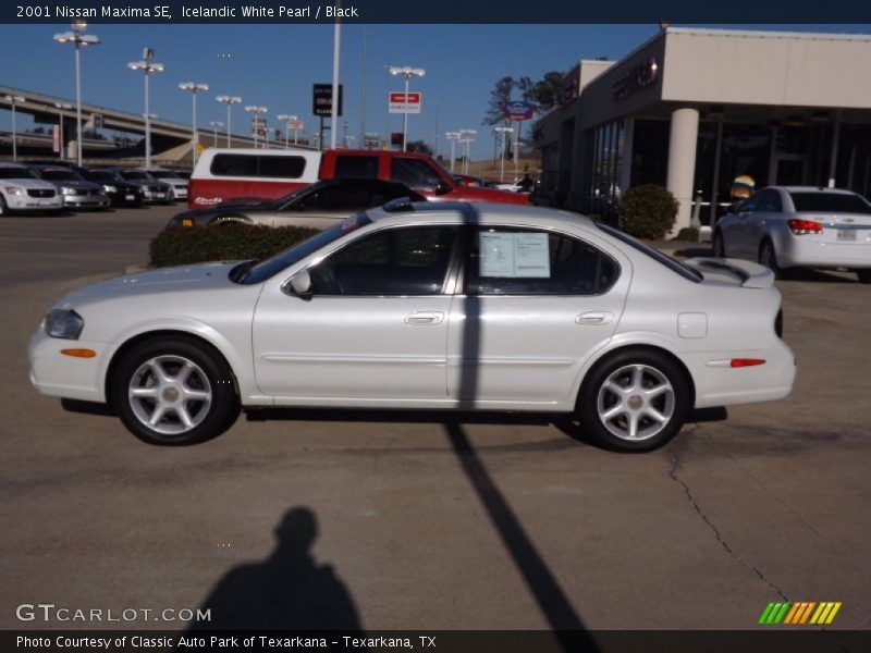 Icelandic White Pearl / Black 2001 Nissan Maxima SE