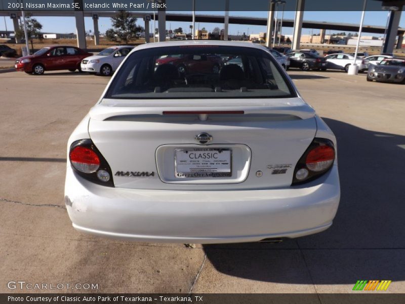 Icelandic White Pearl / Black 2001 Nissan Maxima SE