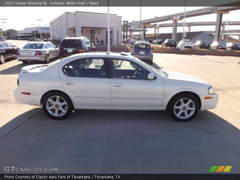 Icelandic White Pearl / Black 2001 Nissan Maxima SE