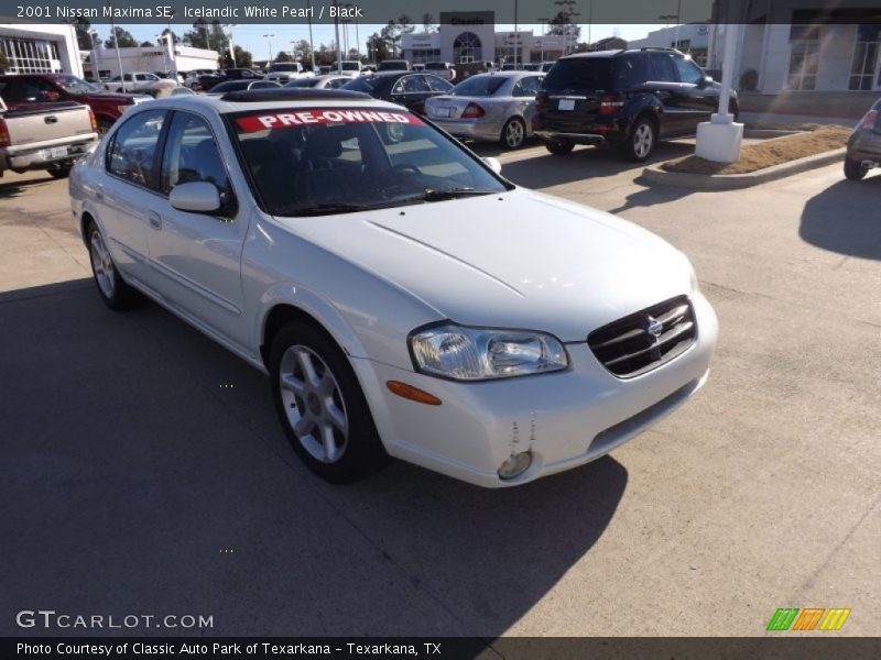 Icelandic White Pearl / Black 2001 Nissan Maxima SE