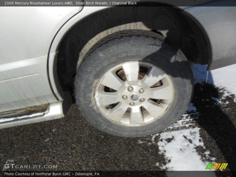 Silver Birch Metallic / Charcoal Black 2006 Mercury Mountaineer Luxury AWD