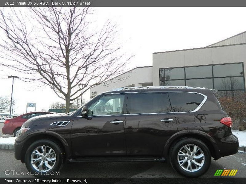 Dark Currant / Wheat 2012 Infiniti QX 56 4WD