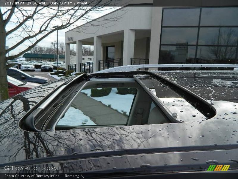 Dark Currant / Wheat 2012 Infiniti QX 56 4WD