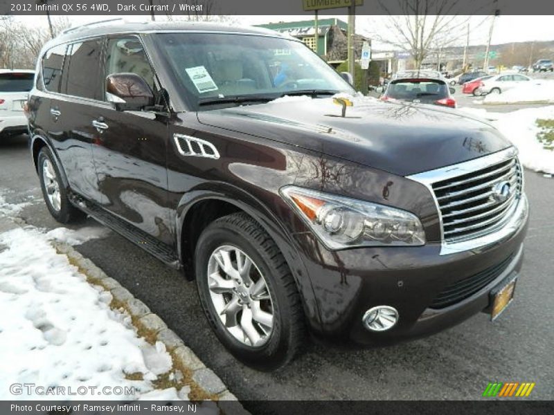 Dark Currant / Wheat 2012 Infiniti QX 56 4WD