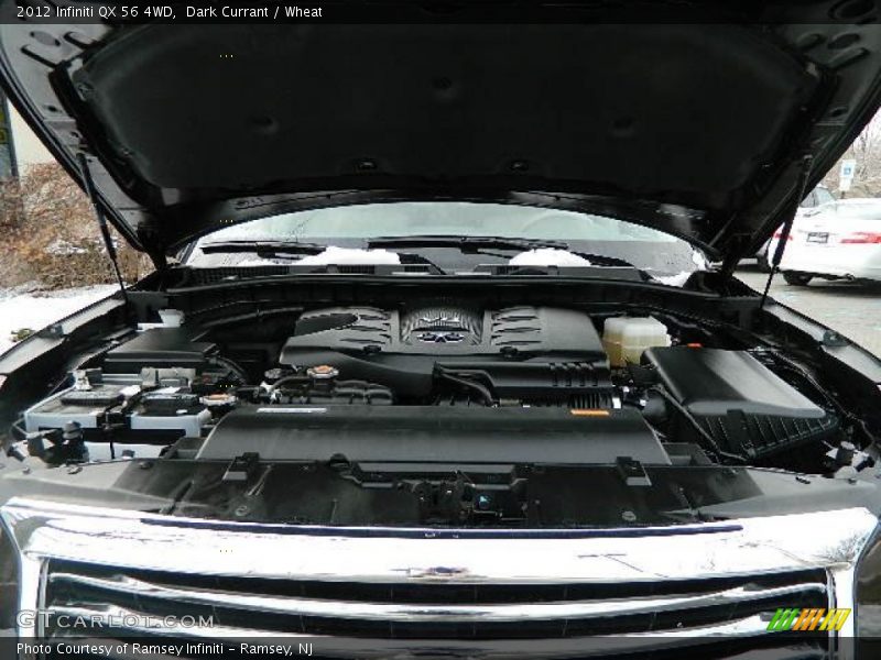 Dark Currant / Wheat 2012 Infiniti QX 56 4WD