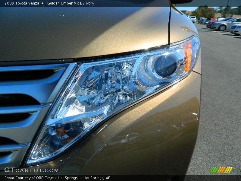 Golden Umber Mica / Ivory 2009 Toyota Venza I4