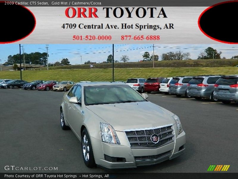 Gold Mist / Cashmere/Cocoa 2009 Cadillac CTS Sedan