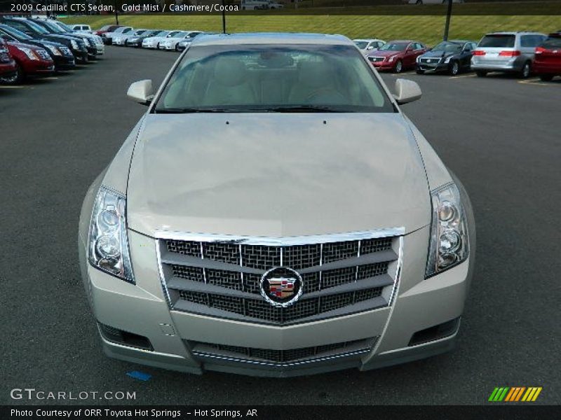 Gold Mist / Cashmere/Cocoa 2009 Cadillac CTS Sedan