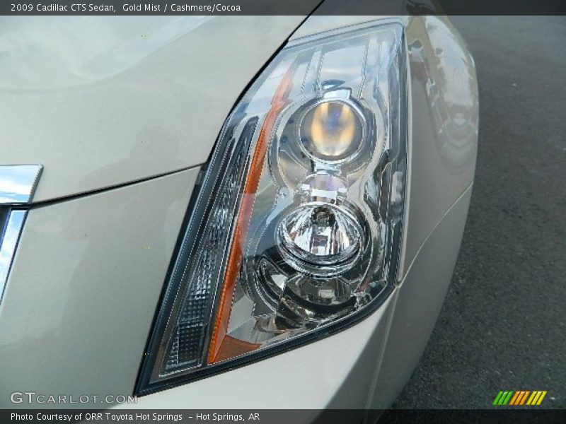 Gold Mist / Cashmere/Cocoa 2009 Cadillac CTS Sedan