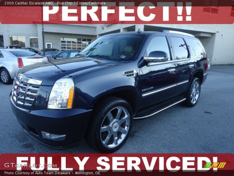 Blue Chip / Cocoa/Cashmere 2009 Cadillac Escalade AWD