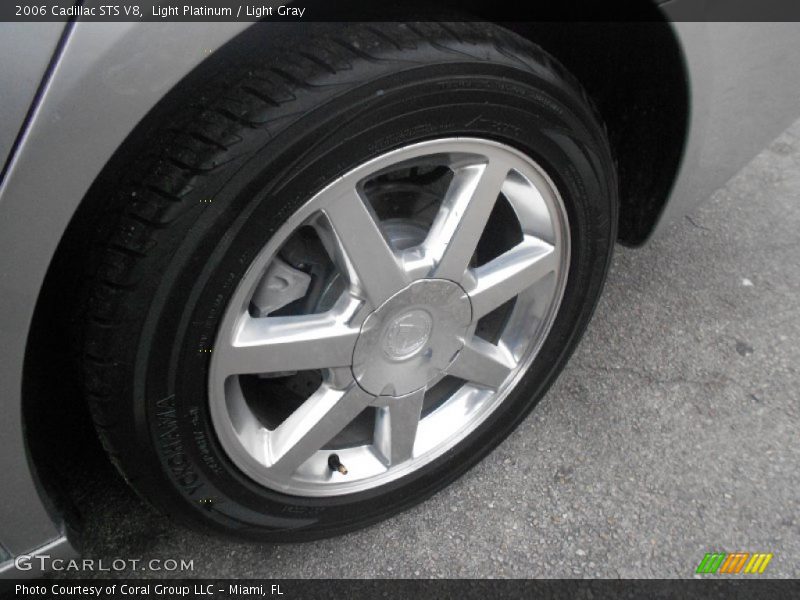 Light Platinum / Light Gray 2006 Cadillac STS V8