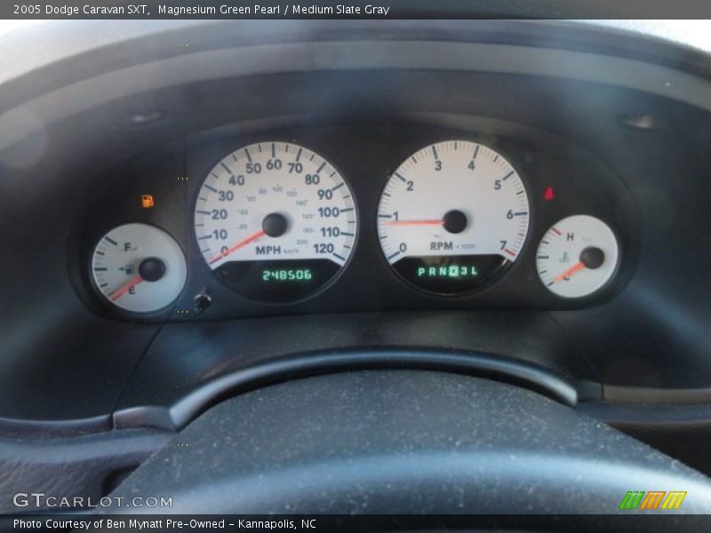Magnesium Green Pearl / Medium Slate Gray 2005 Dodge Caravan SXT