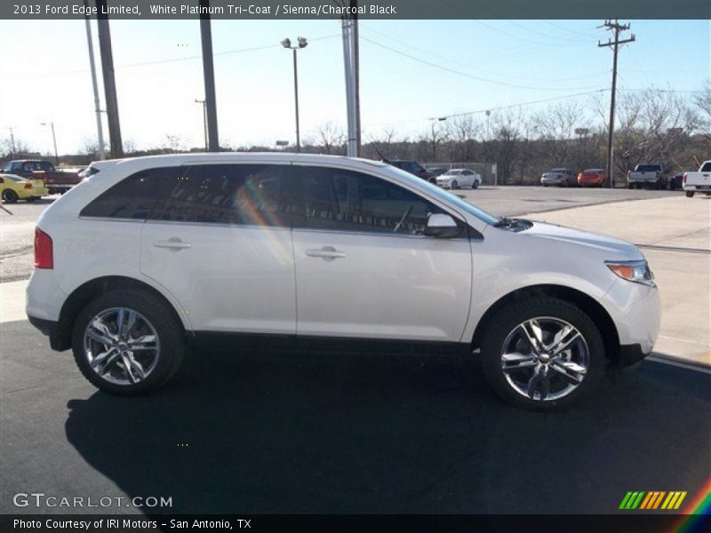 White Platinum Tri-Coat / Sienna/Charcoal Black 2013 Ford Edge Limited