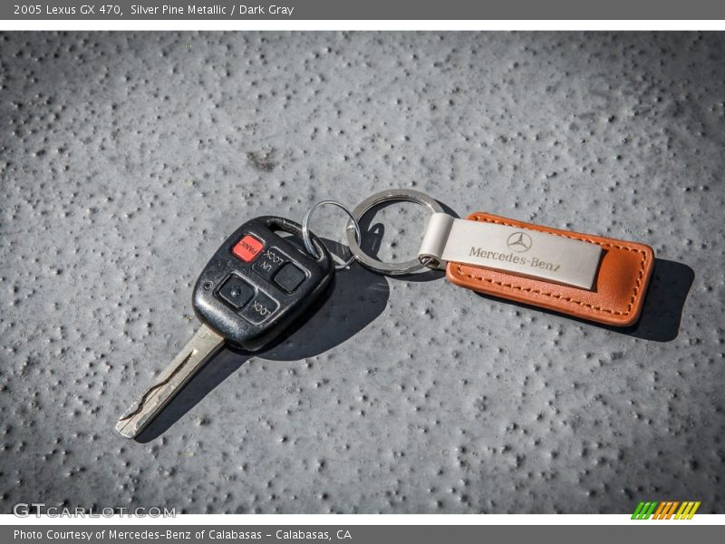 Silver Pine Metallic / Dark Gray 2005 Lexus GX 470