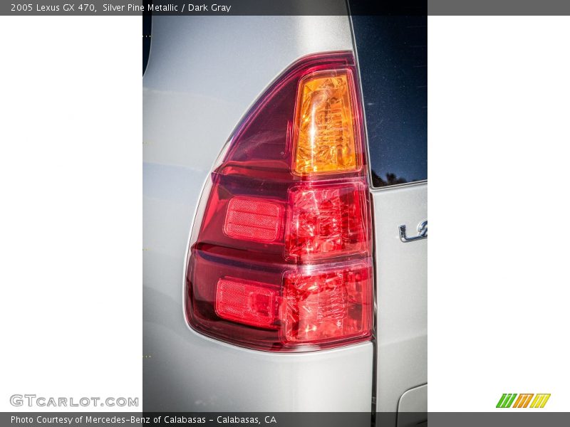 Silver Pine Metallic / Dark Gray 2005 Lexus GX 470