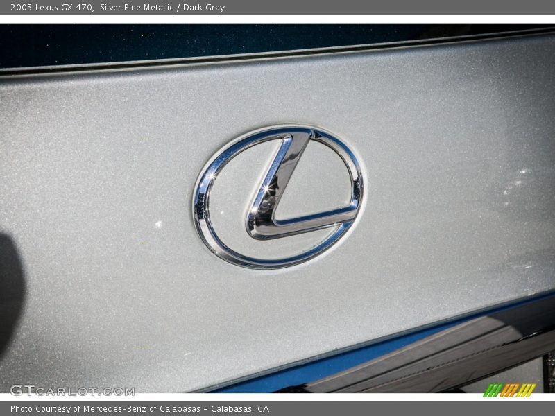 Silver Pine Metallic / Dark Gray 2005 Lexus GX 470