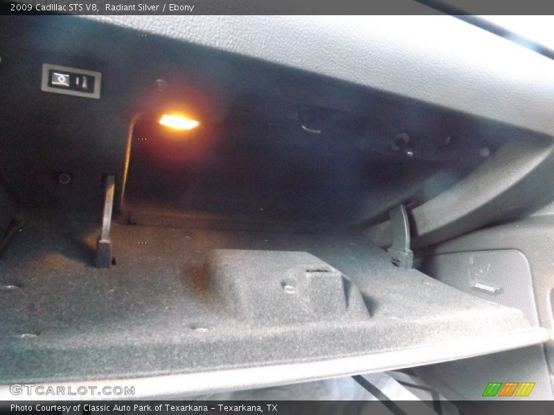 Radiant Silver / Ebony 2009 Cadillac STS V8
