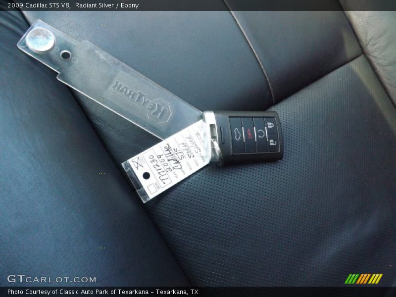 Radiant Silver / Ebony 2009 Cadillac STS V8