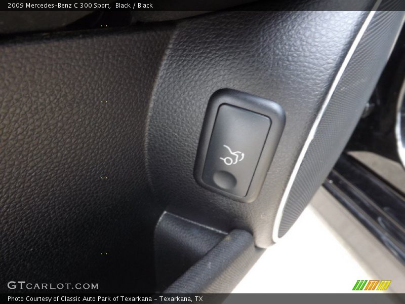 Black / Black 2009 Mercedes-Benz C 300 Sport