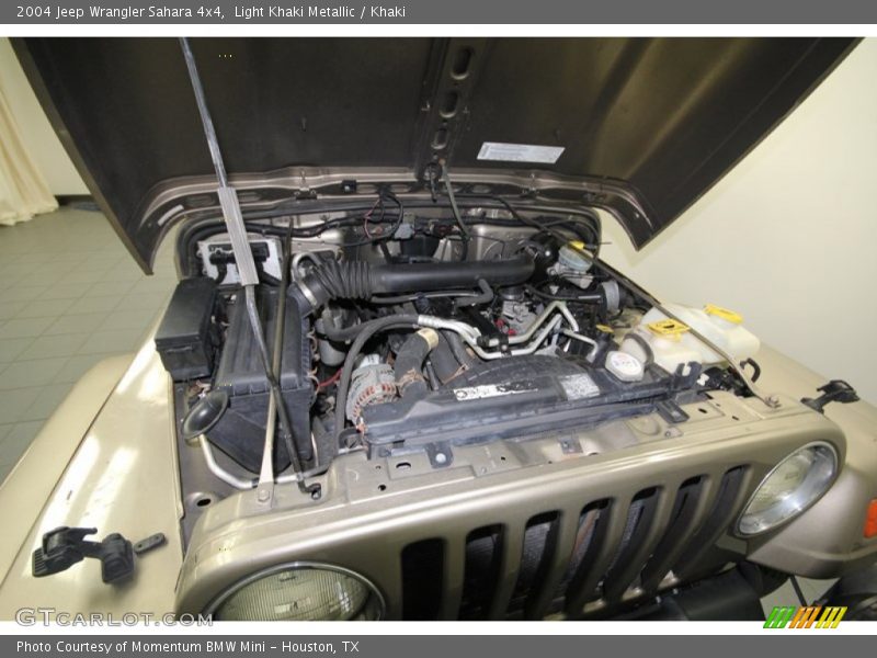 Light Khaki Metallic / Khaki 2004 Jeep Wrangler Sahara 4x4