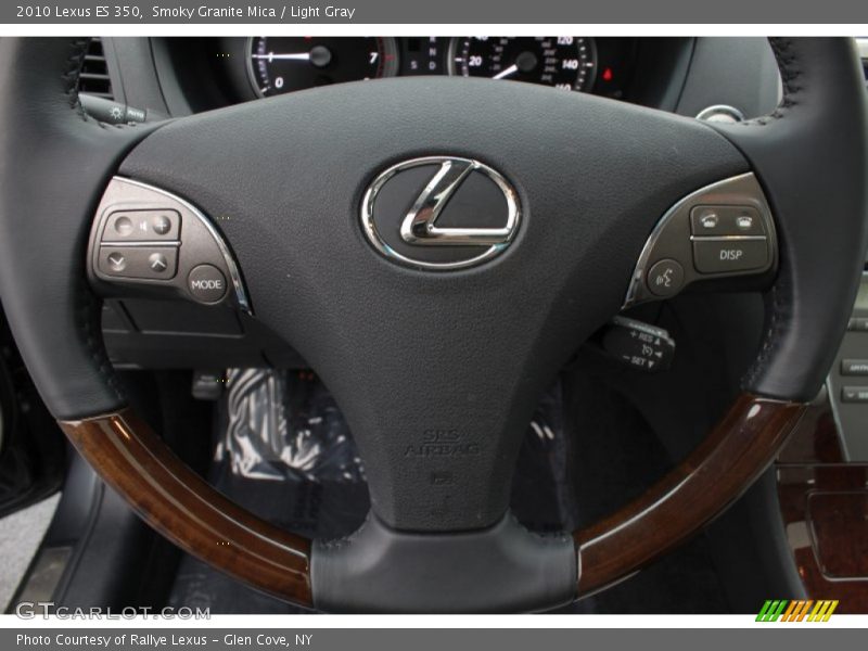 Smoky Granite Mica / Light Gray 2010 Lexus ES 350