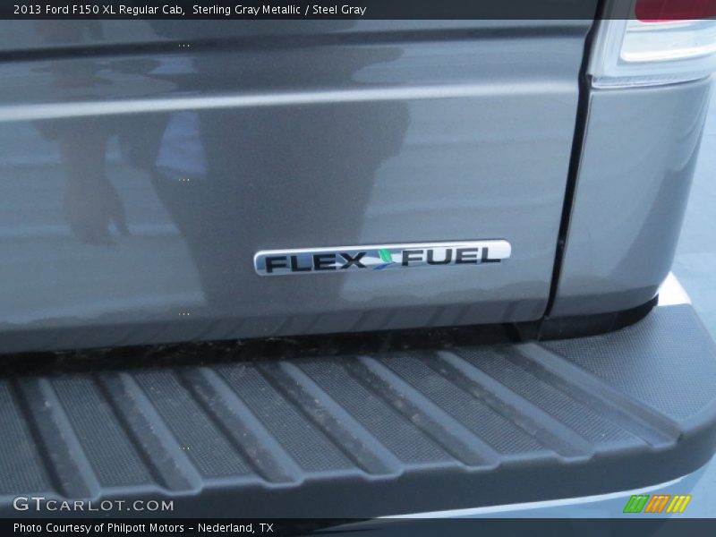 Sterling Gray Metallic / Steel Gray 2013 Ford F150 XL Regular Cab