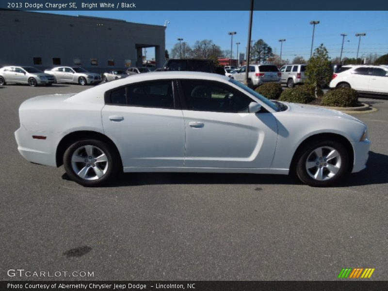 Bright White / Black 2013 Dodge Charger SE