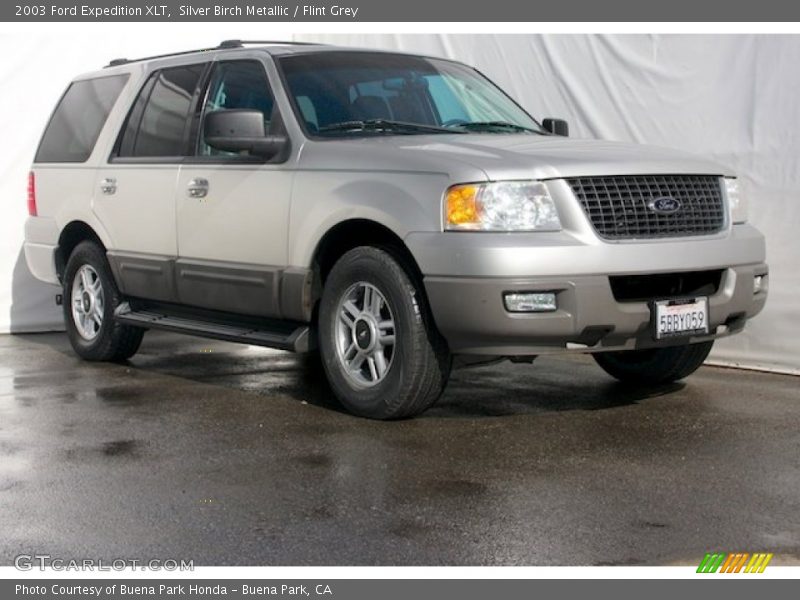 Silver Birch Metallic / Flint Grey 2003 Ford Expedition XLT