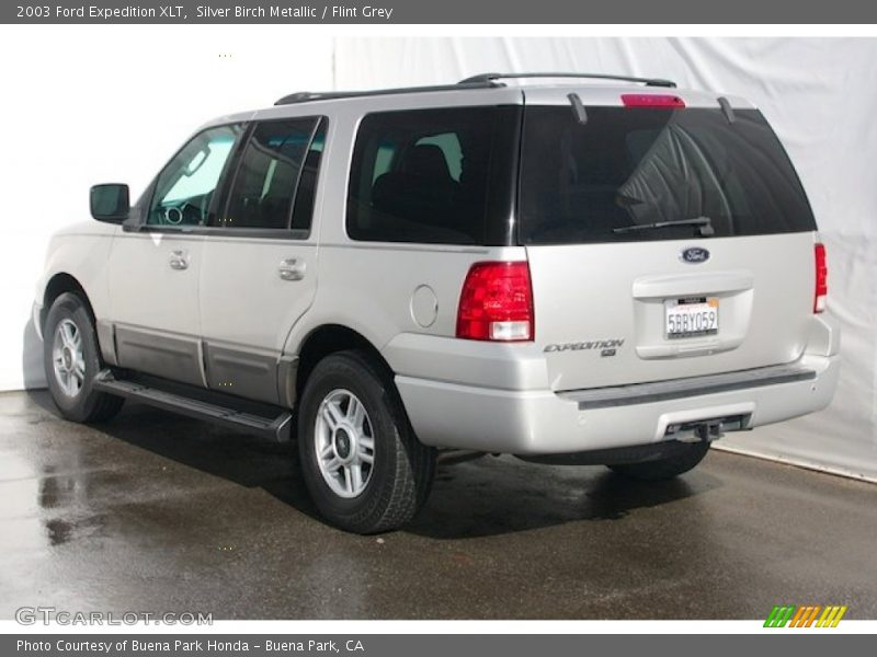 Silver Birch Metallic / Flint Grey 2003 Ford Expedition XLT