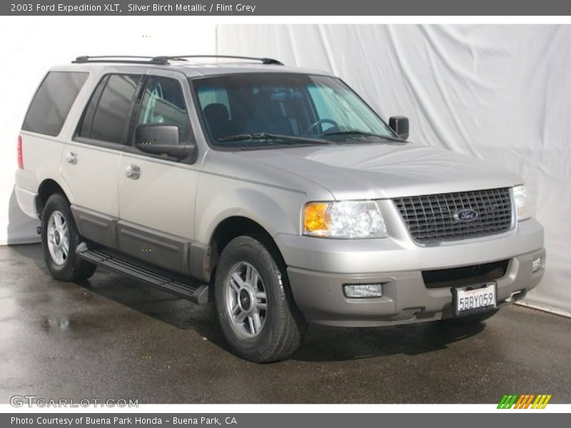 Silver Birch Metallic / Flint Grey 2003 Ford Expedition XLT