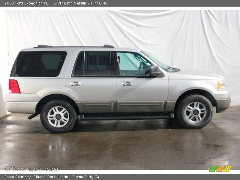 Silver Birch Metallic / Flint Grey 2003 Ford Expedition XLT