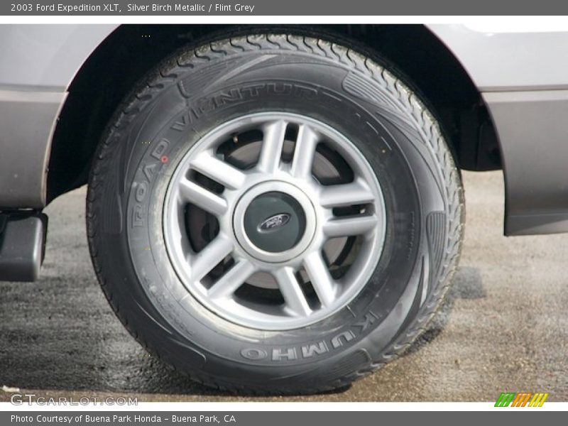 Silver Birch Metallic / Flint Grey 2003 Ford Expedition XLT