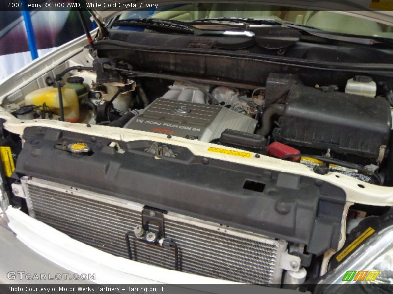 White Gold Crystal / Ivory 2002 Lexus RX 300 AWD