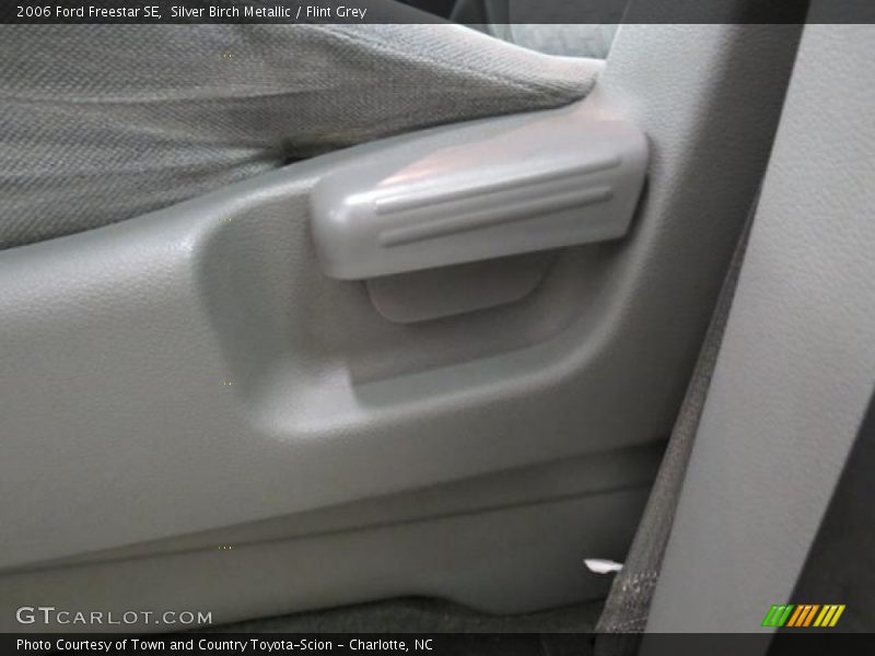 Silver Birch Metallic / Flint Grey 2006 Ford Freestar SE