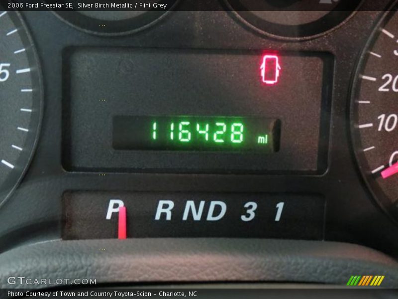 Silver Birch Metallic / Flint Grey 2006 Ford Freestar SE