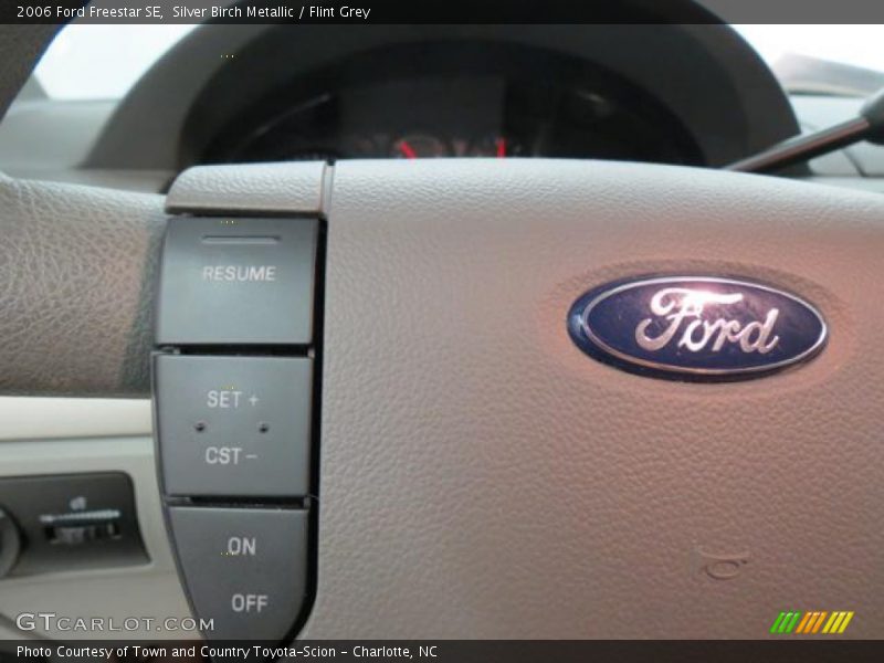 Silver Birch Metallic / Flint Grey 2006 Ford Freestar SE