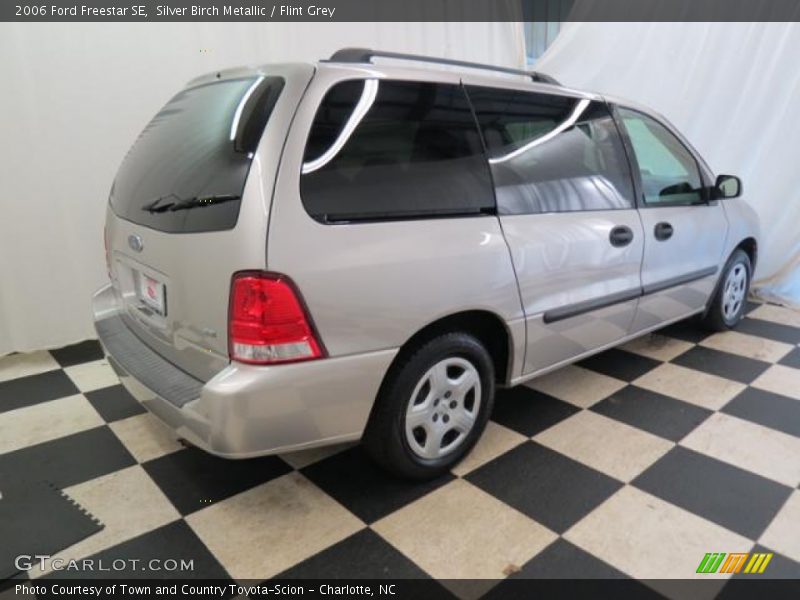 Silver Birch Metallic / Flint Grey 2006 Ford Freestar SE