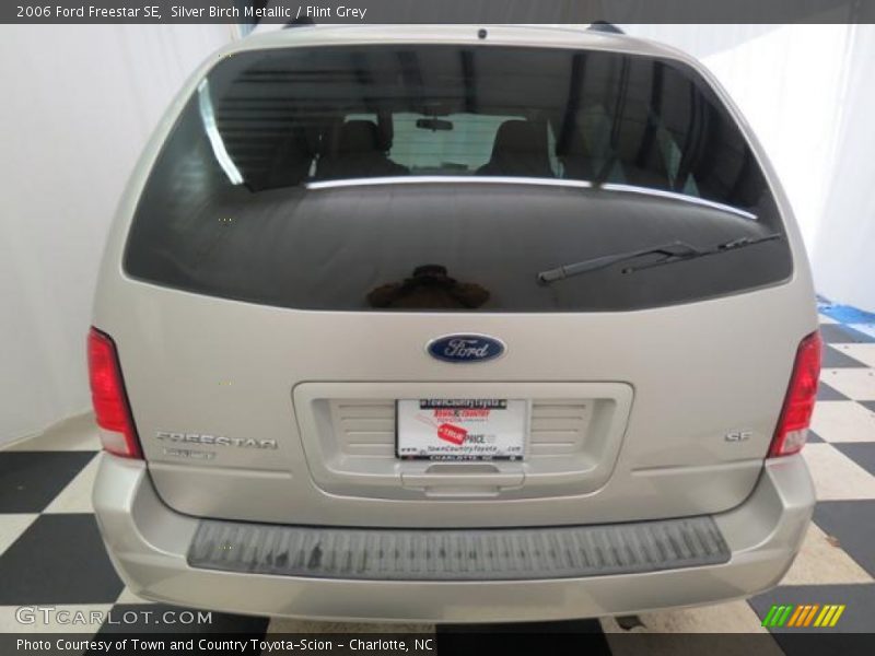 Silver Birch Metallic / Flint Grey 2006 Ford Freestar SE