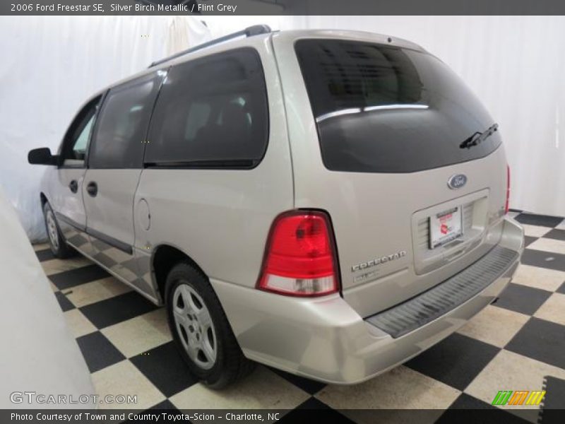 Silver Birch Metallic / Flint Grey 2006 Ford Freestar SE