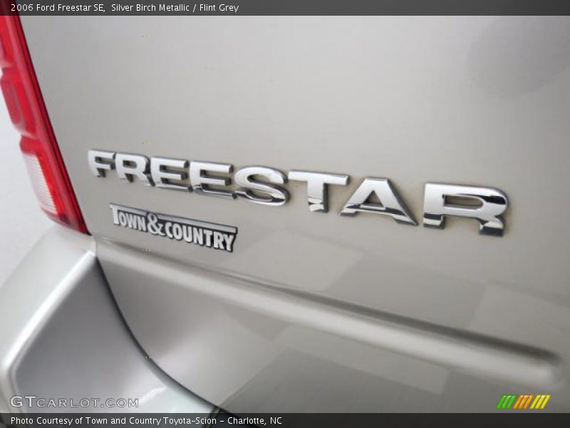 Silver Birch Metallic / Flint Grey 2006 Ford Freestar SE